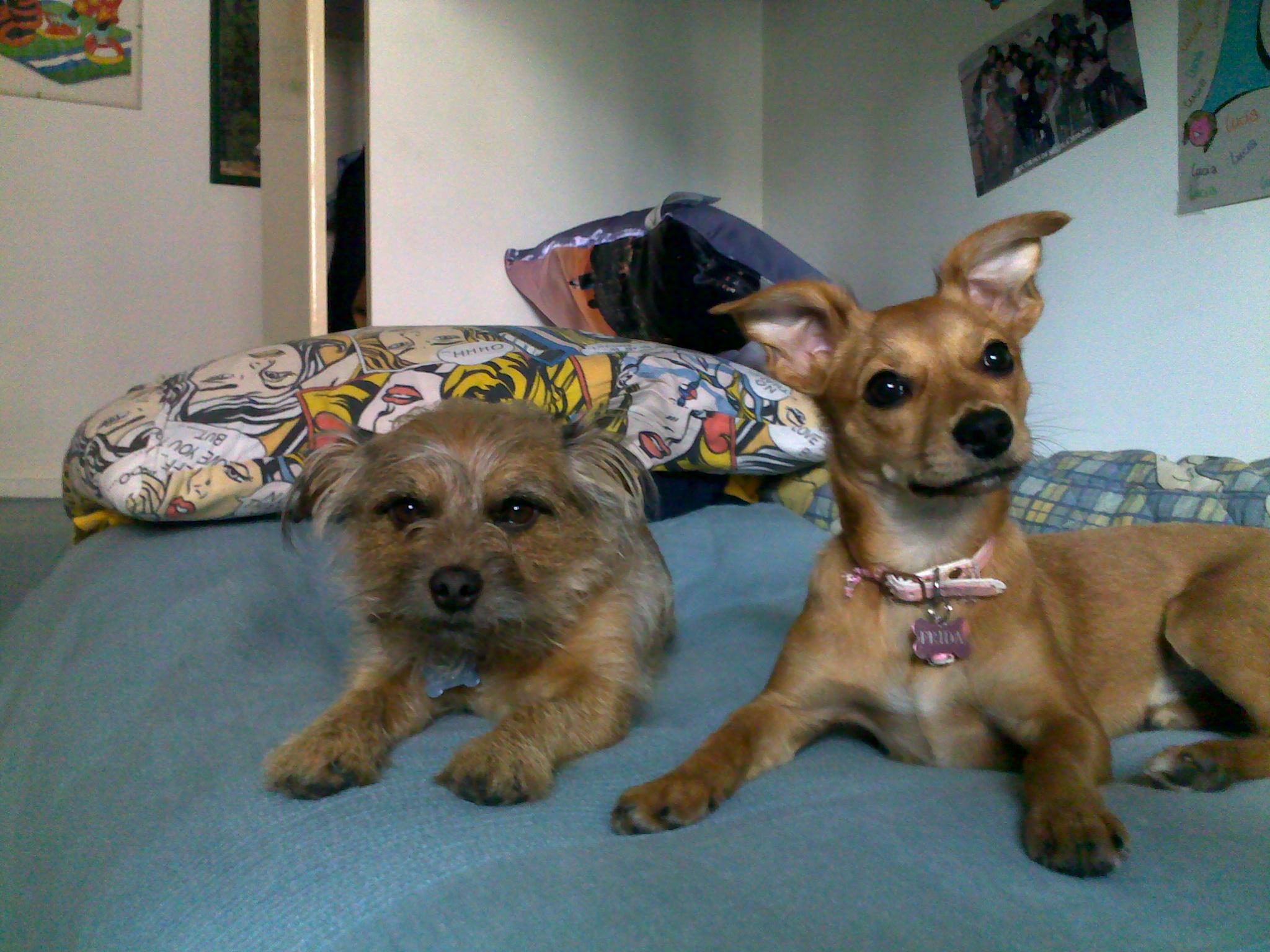 LEONE E FRIDA - 31/03/2012